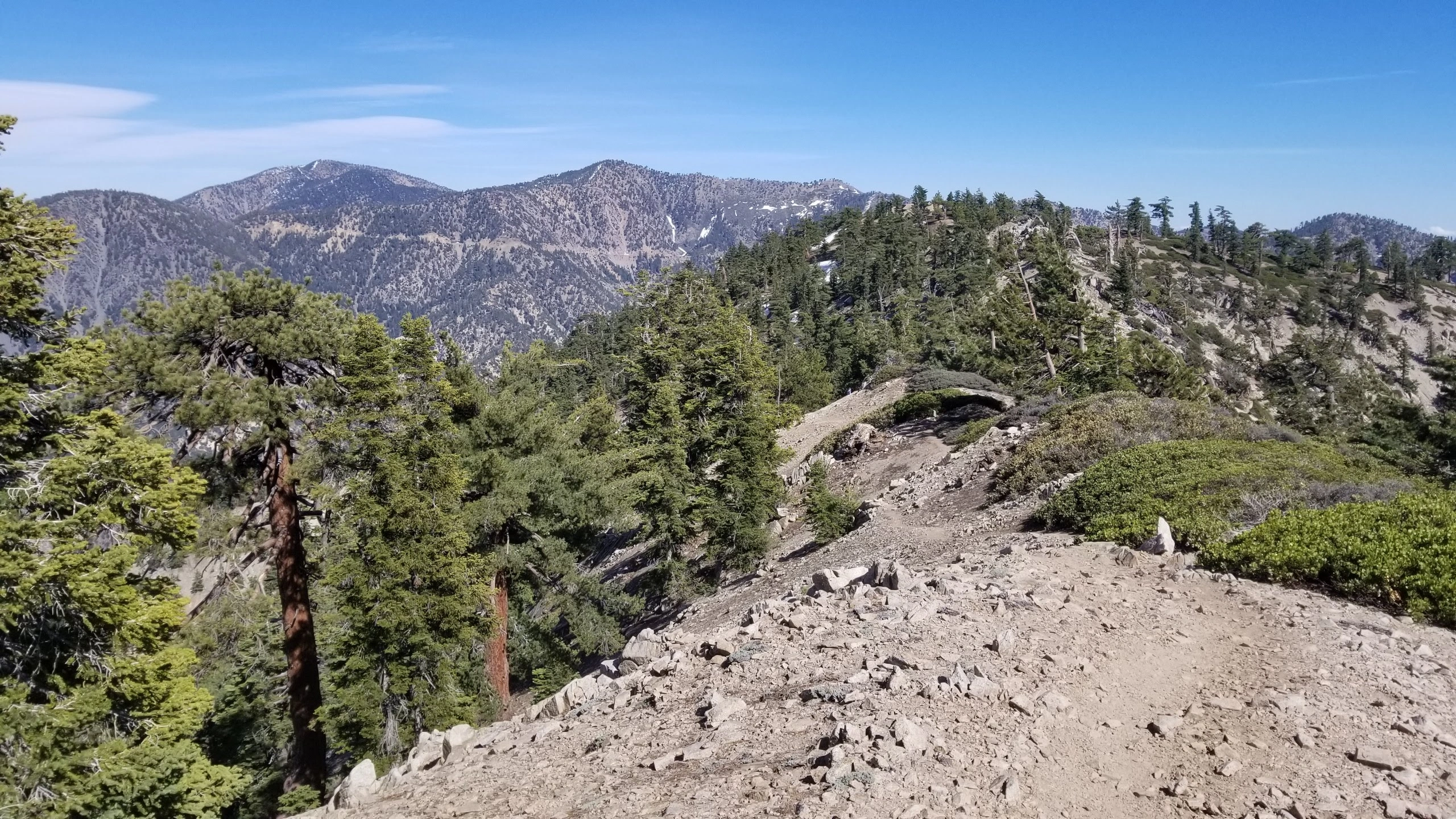 Mount Williamson, taken from Pleasant View Ridge