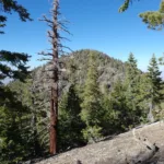 Mount Lewis, taken from Hawkins Area