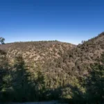 Pinyon Ridge