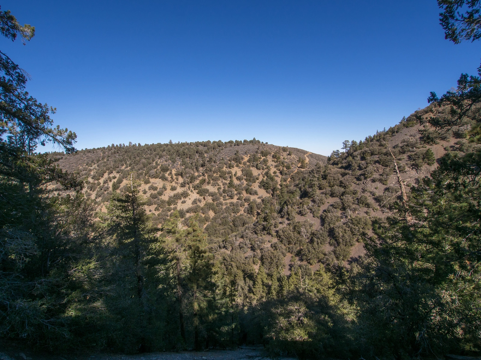 Pinyon Ridge