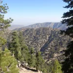 Winston Ridge, taken from the trail