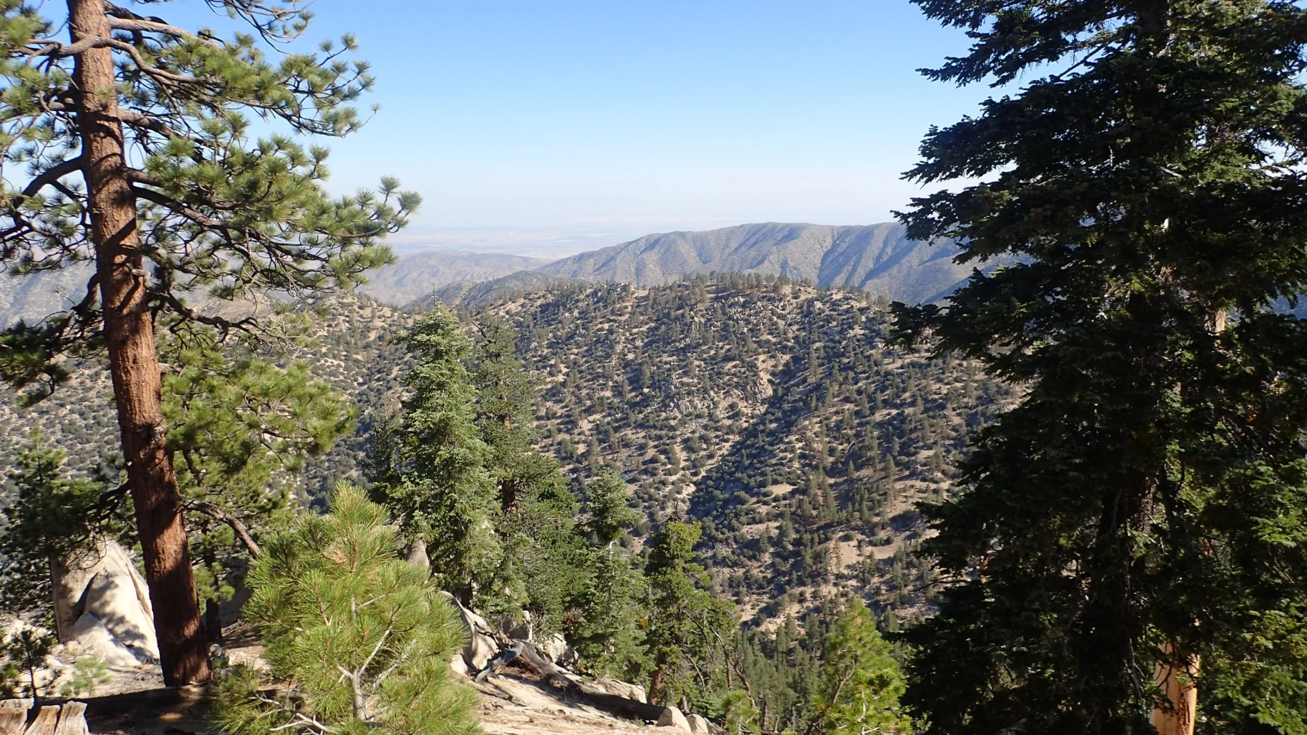 Winston Ridge, taken from the trail