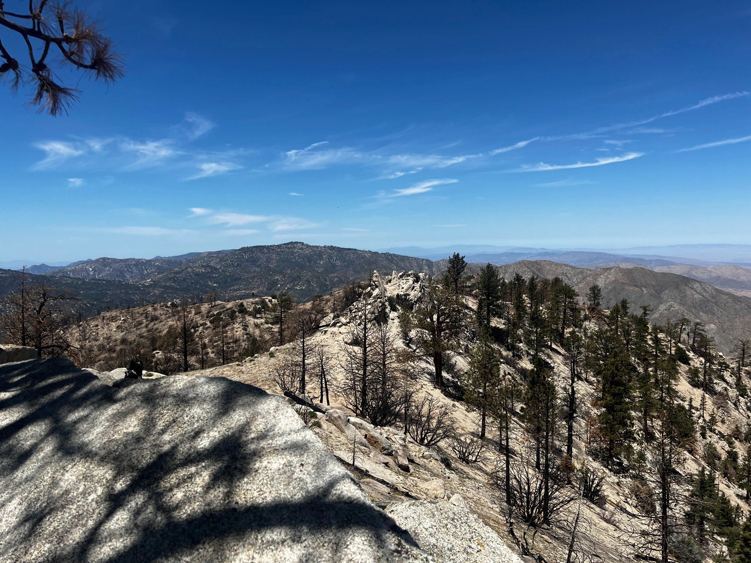 Winston Ridge Summit