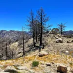 Winston Ridge Summit