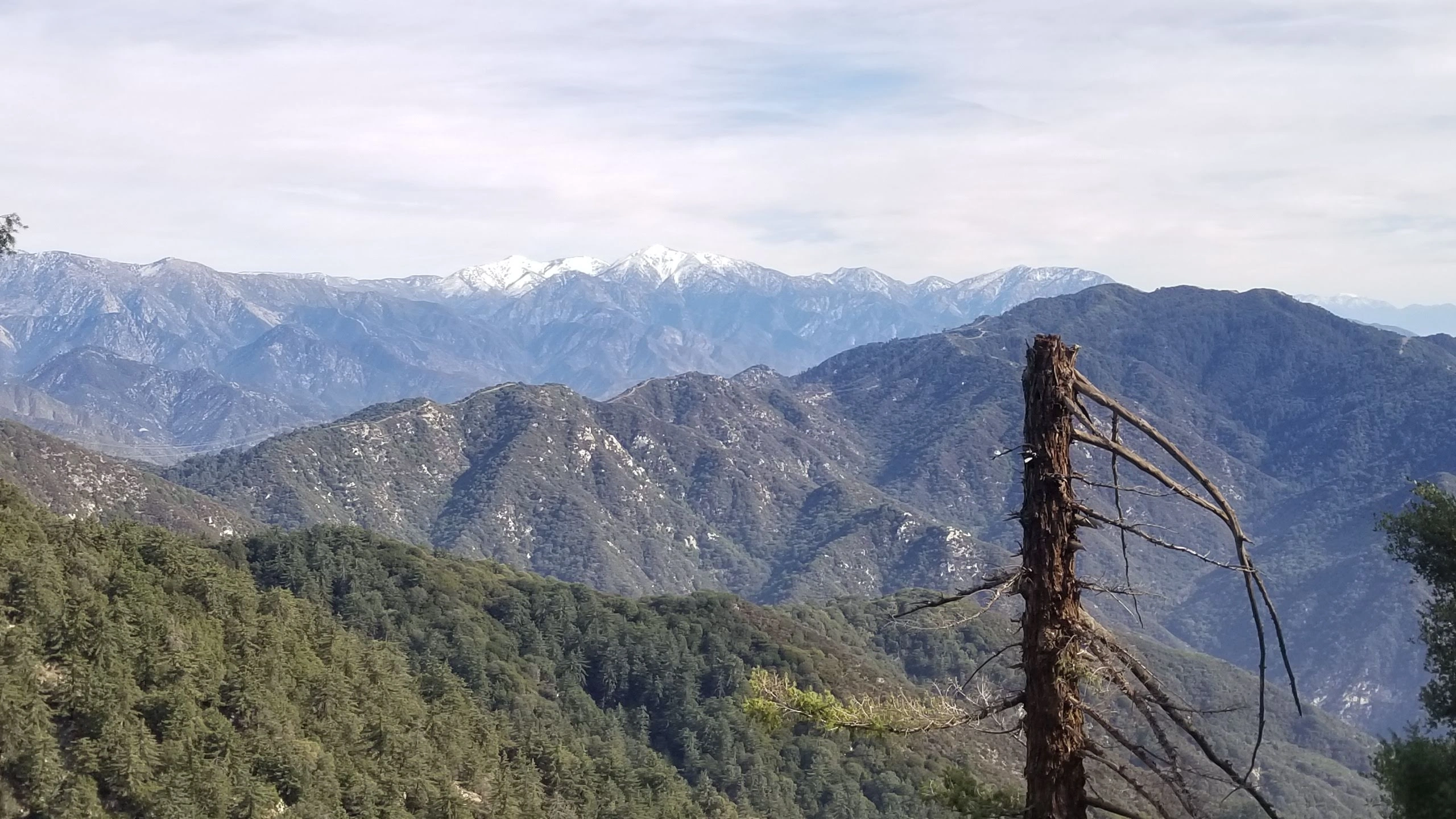 Monrovia Peak, taken from Wilson Trail