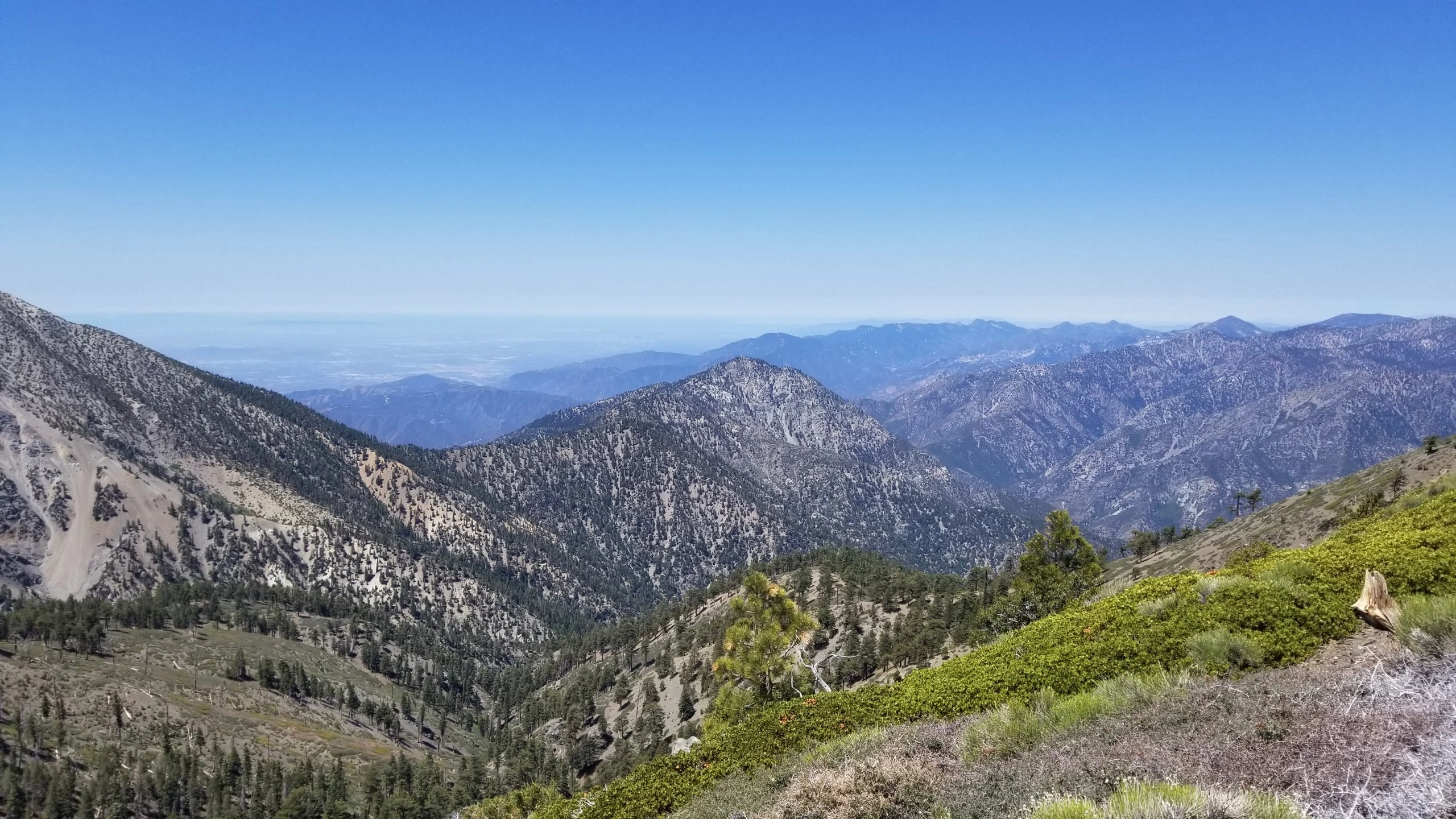 Iron Mountain #1, taken from Dawsonpine Trail