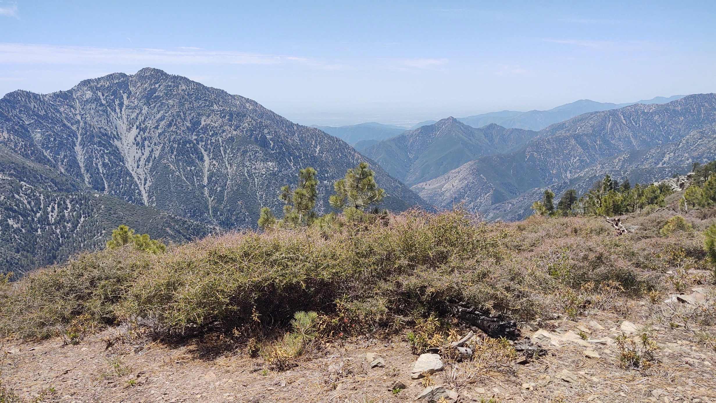 Iron Mountain #1