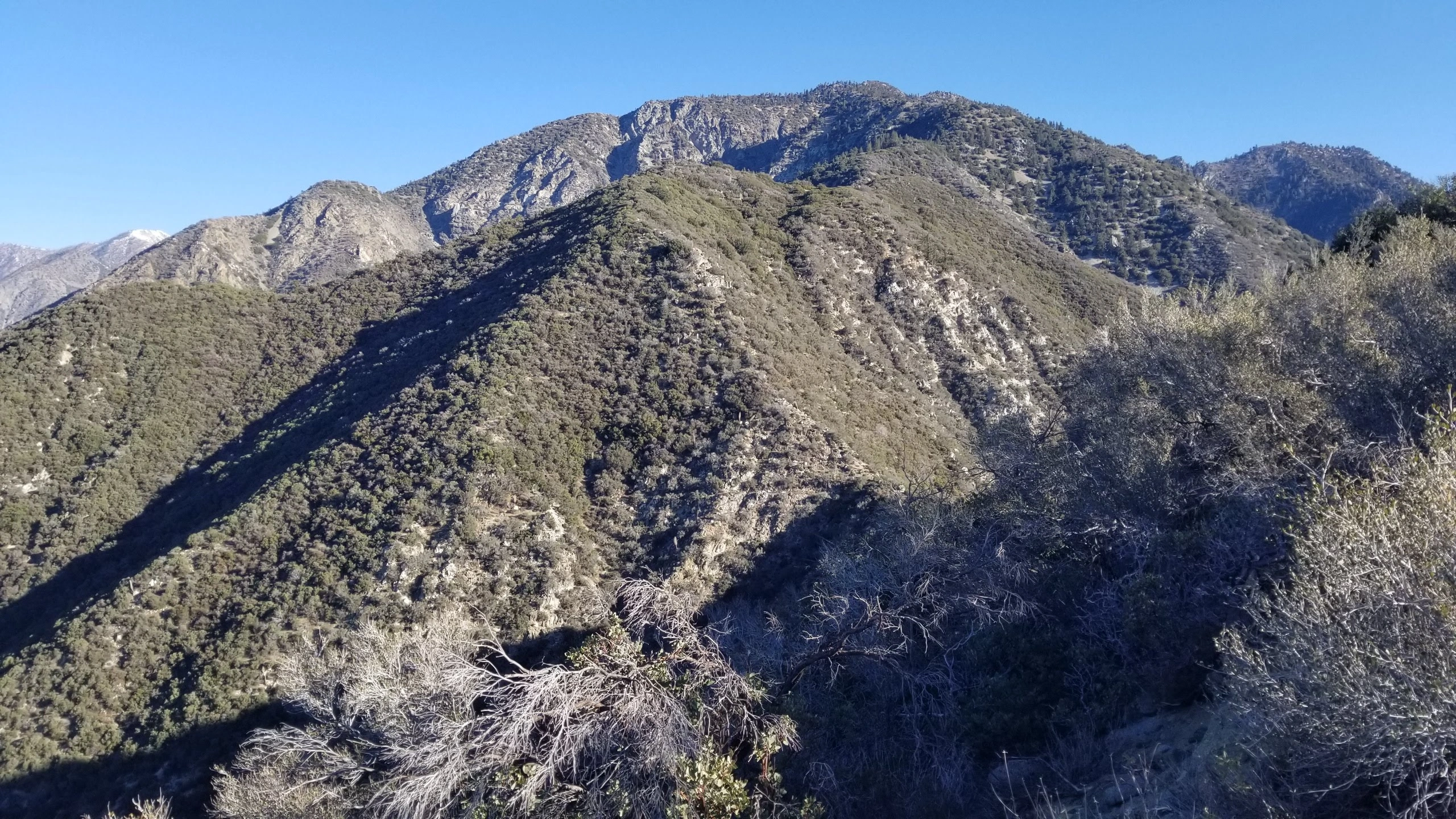 Iron Mountain #1 Summit Ridge, taken from Trail