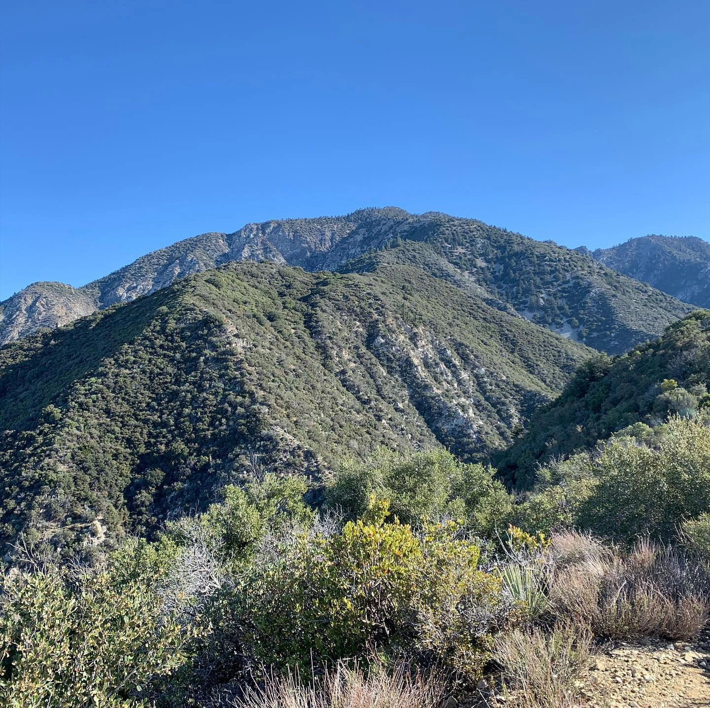 Iron Mountain #1