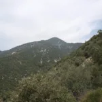 Lookout Mountain #2