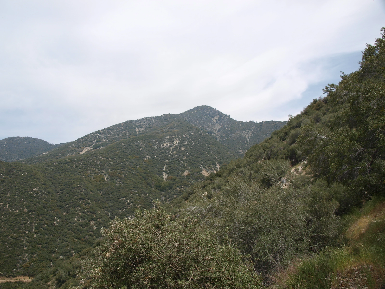 Lookout Mountain #2