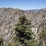 Ontario, taken from Cucamonga Trail