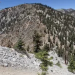 Bighorn, taken from Cucamonga Trail