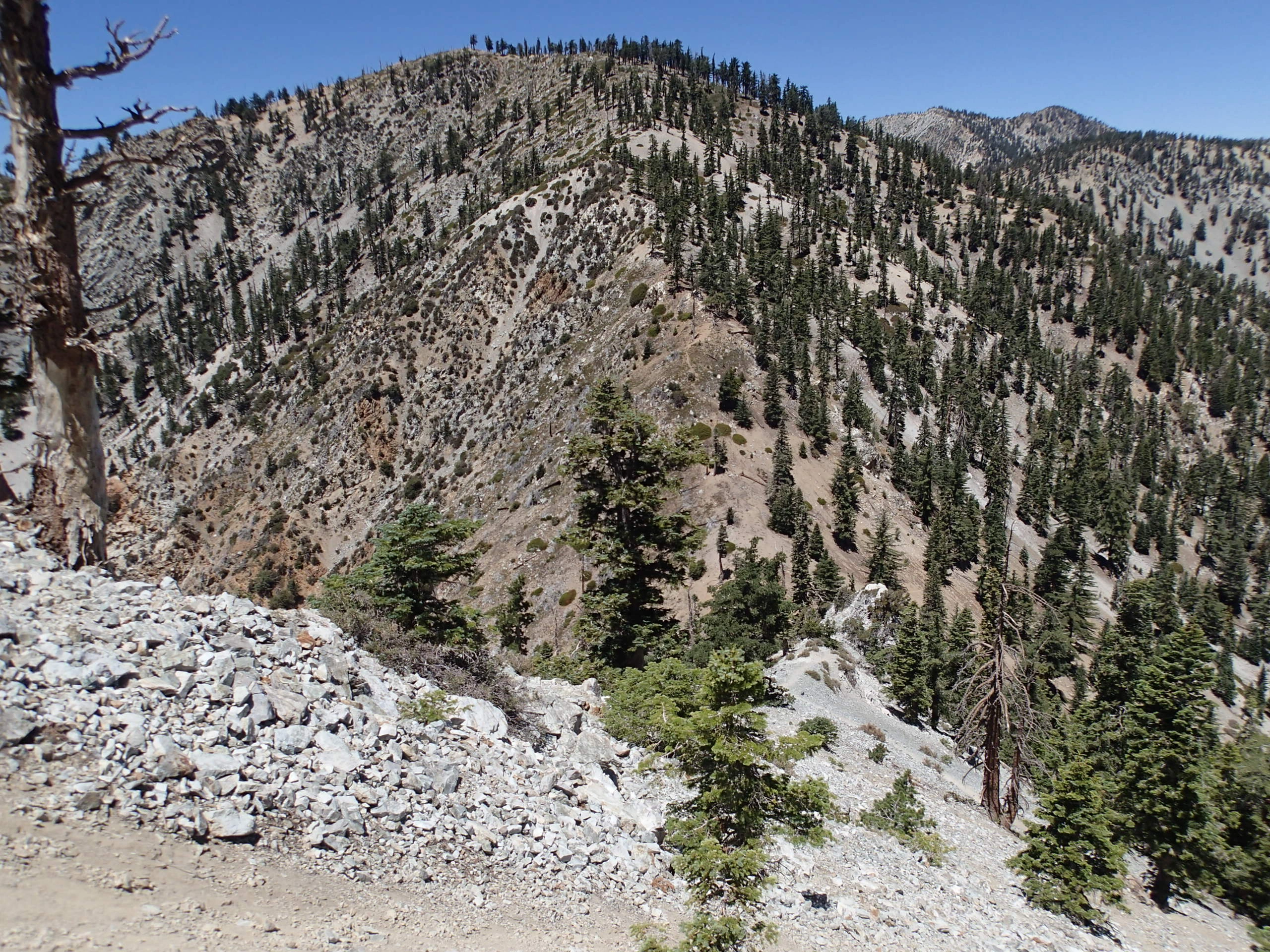 Bighorn, taken from Cucamonga Trail