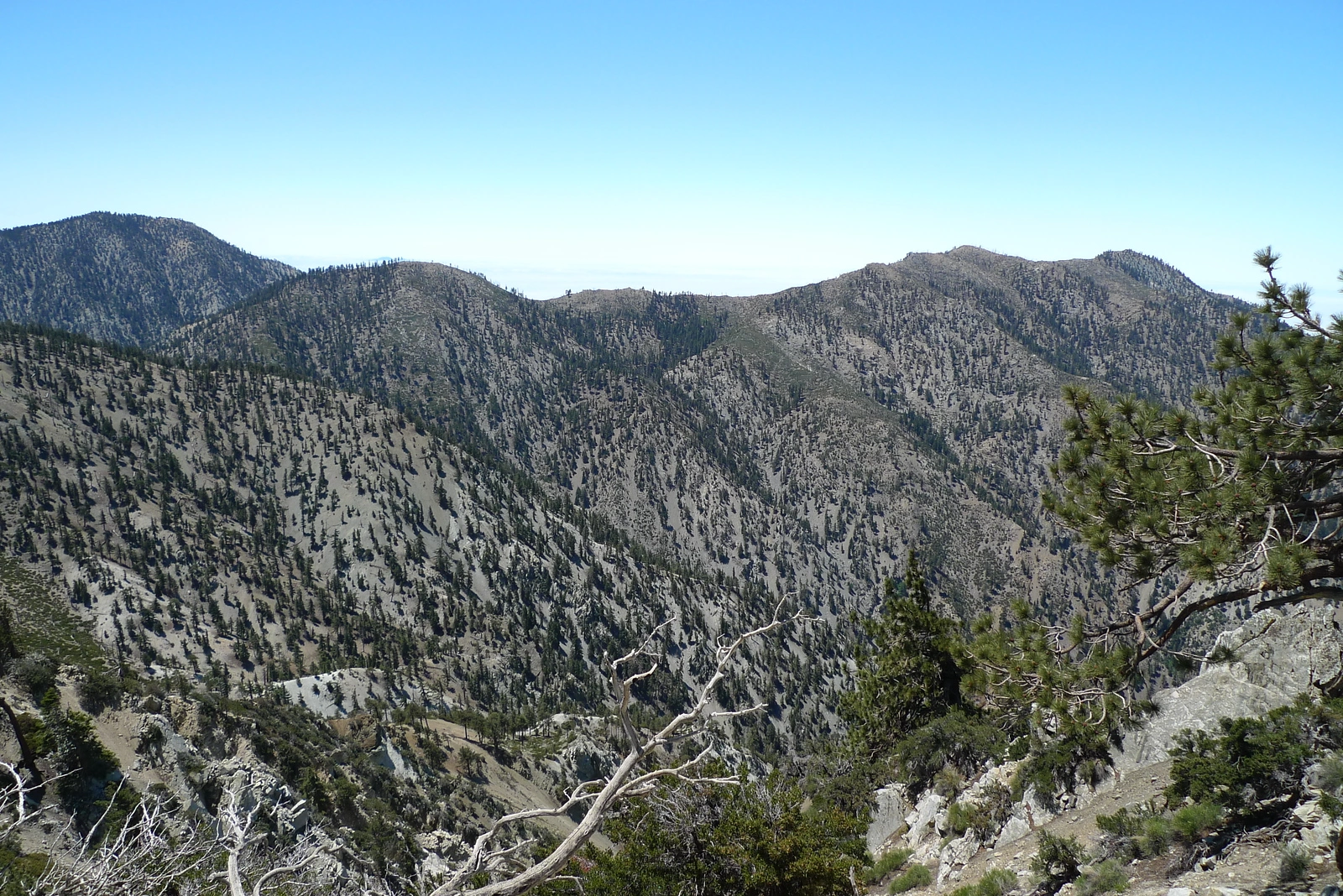 Cucamonga, Bighorn and Ontario