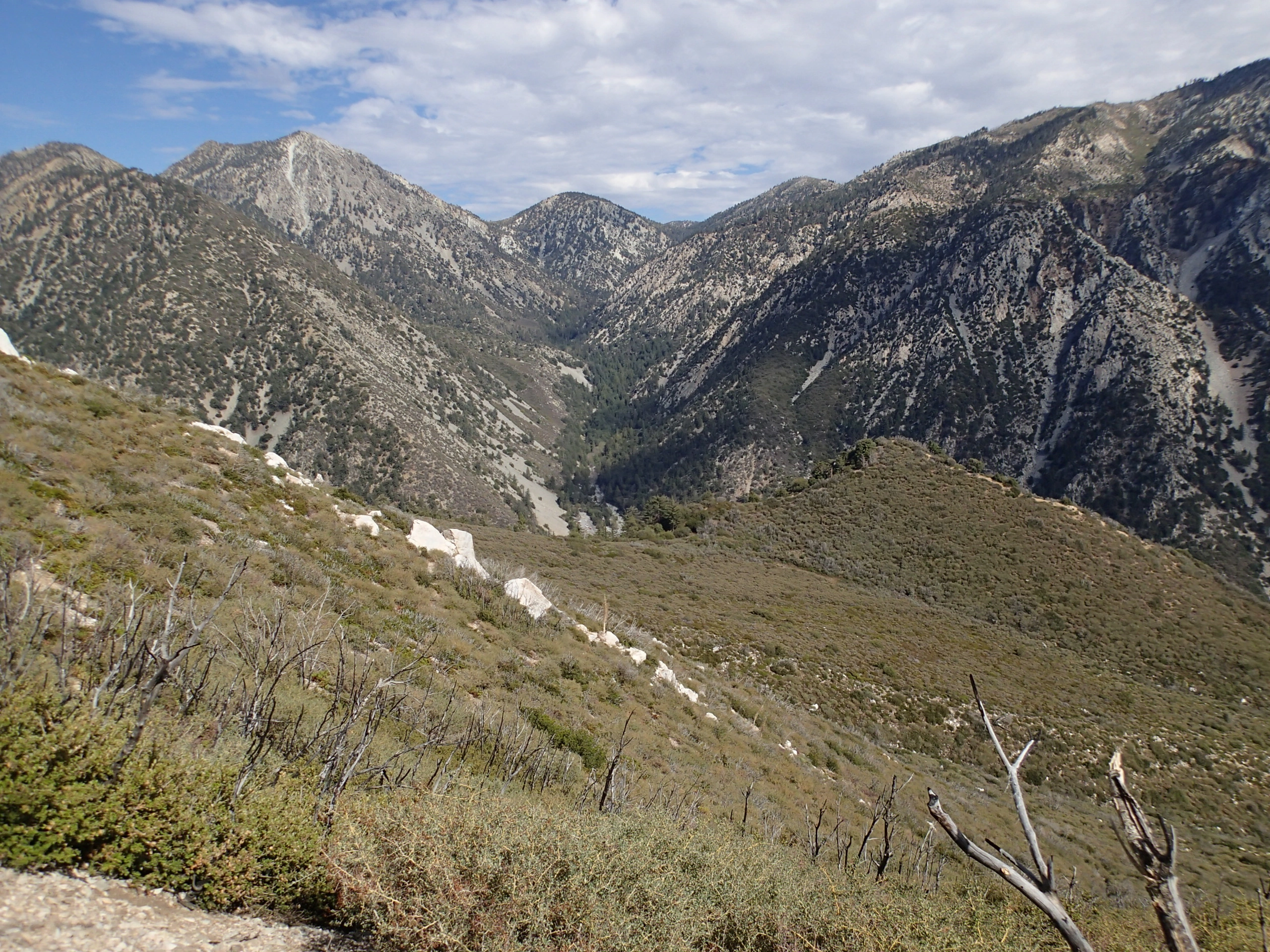 Timber, taken from Baldy Trail