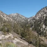 Timber, taken from Icehouse Canyon