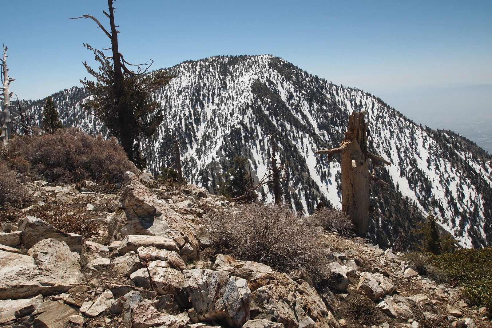 Cucamonga Peak, taken from Bighorn