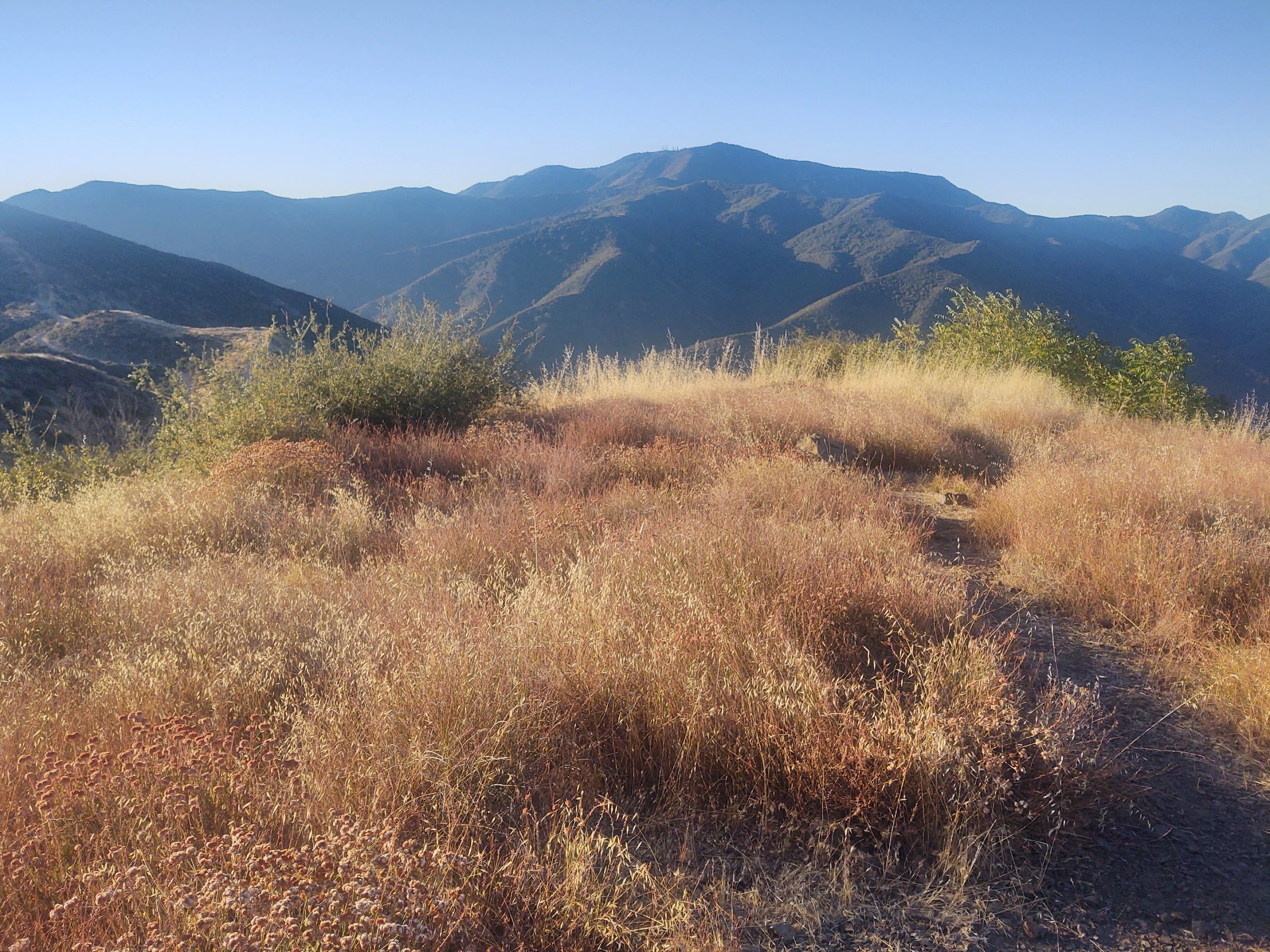 Santiago Peak