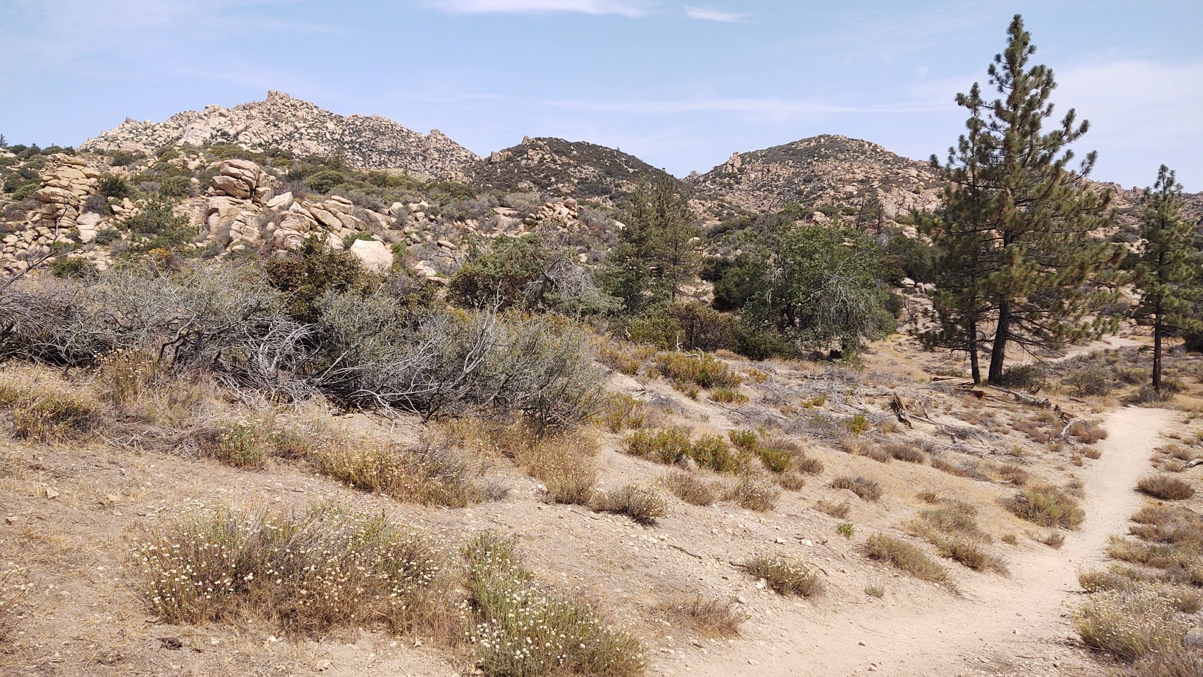 The Pinnacles