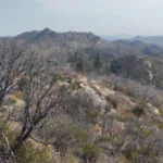 The Pinnacles