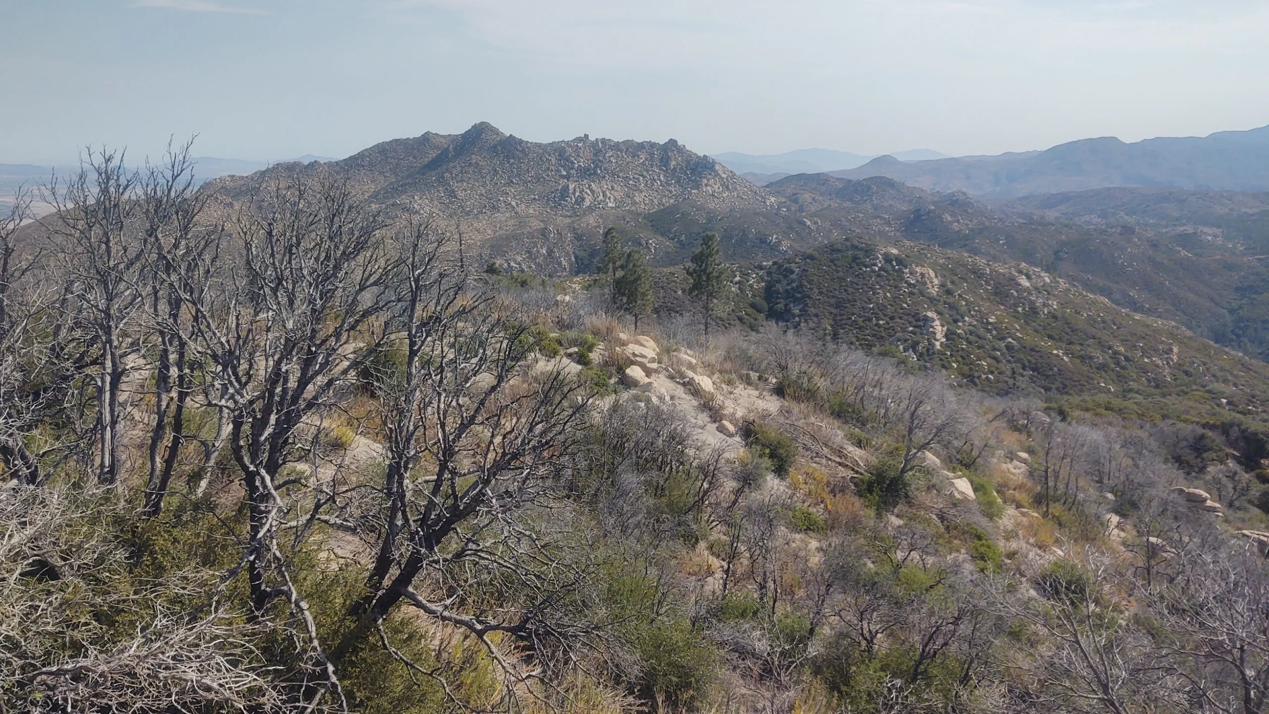 The Pinnacles