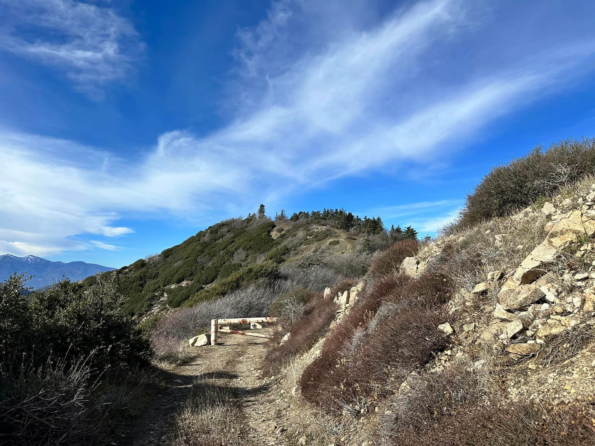 Bailey Peak