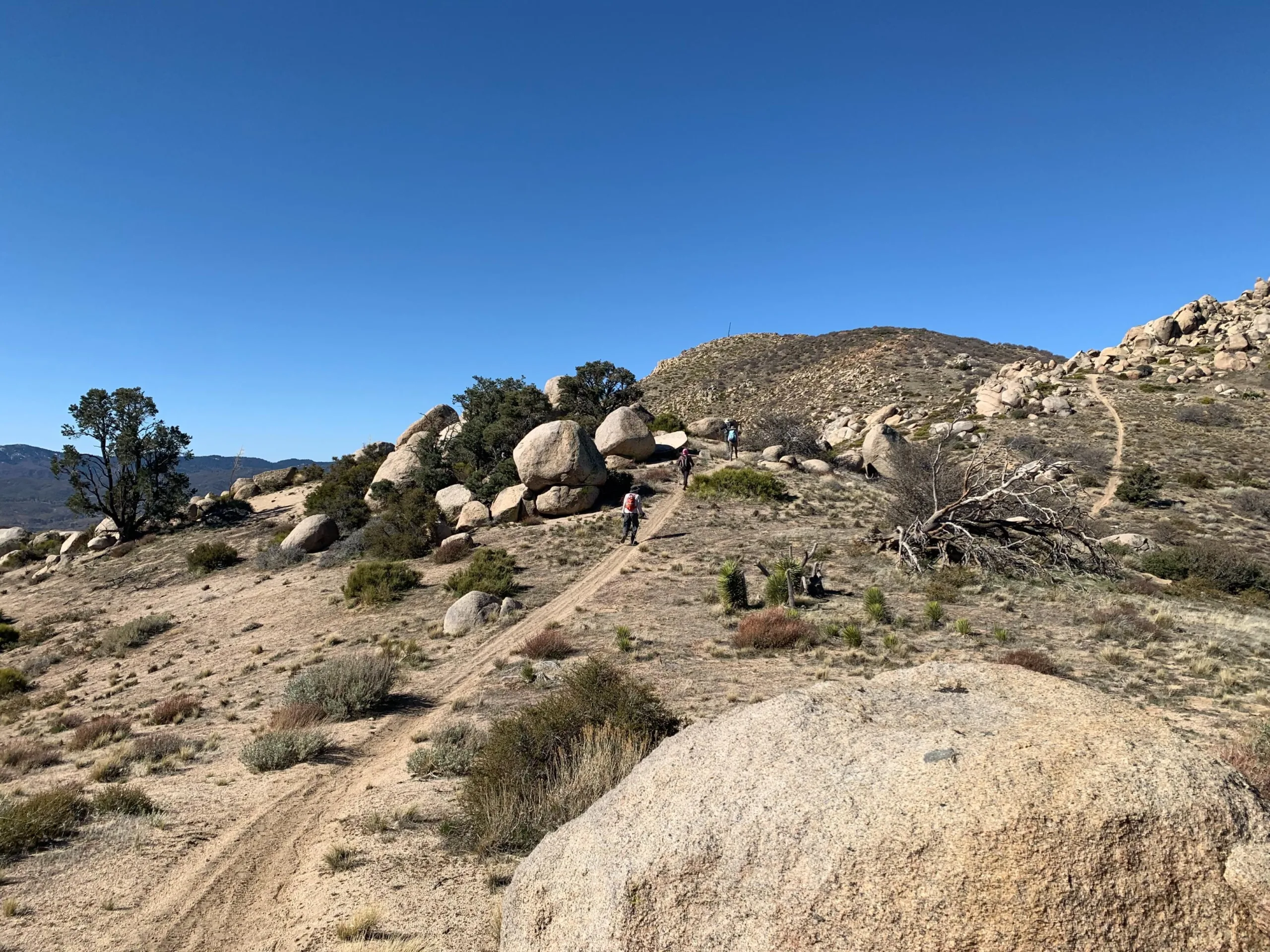 Luna Mountain with Hikers