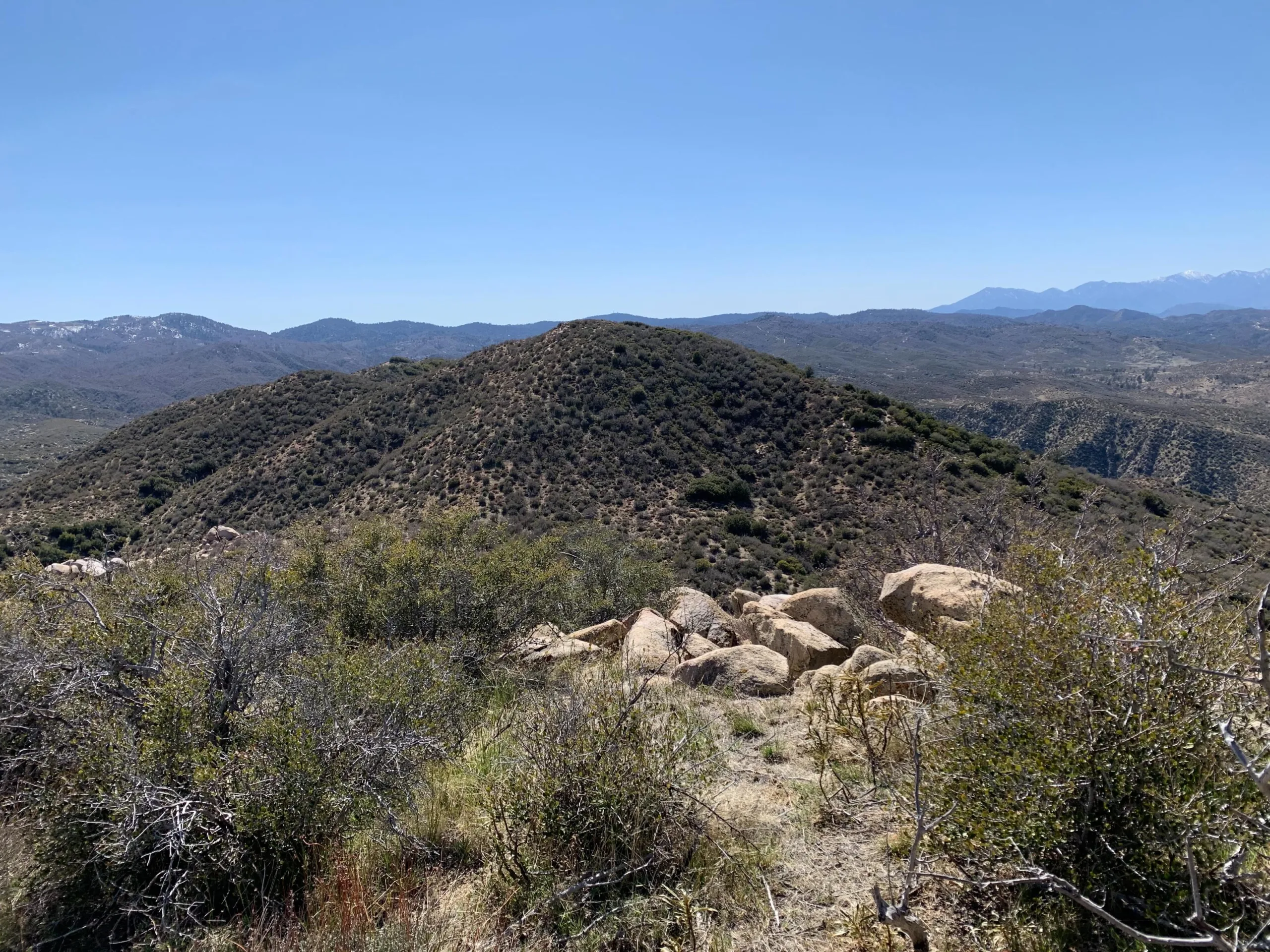 Deer Mountain