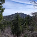 Keller Peak from Butler Peak