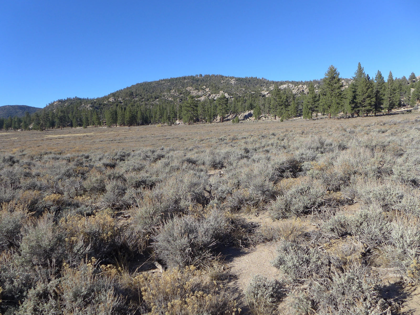 Arctic Point, taken from Holcomb Valley