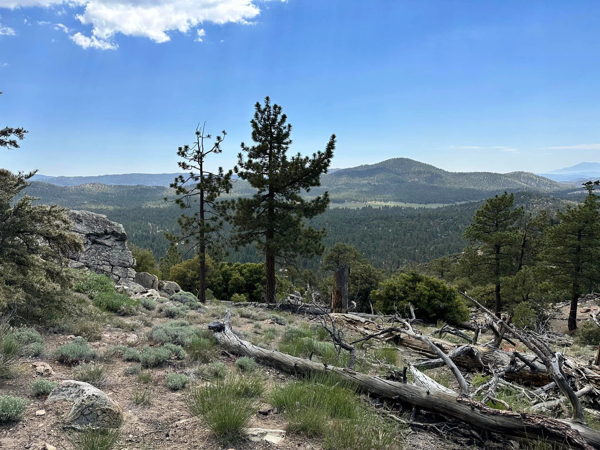Bertha Peak, taken from Arctic