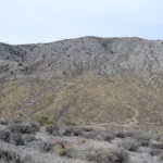 Silver Peak from Route 1
