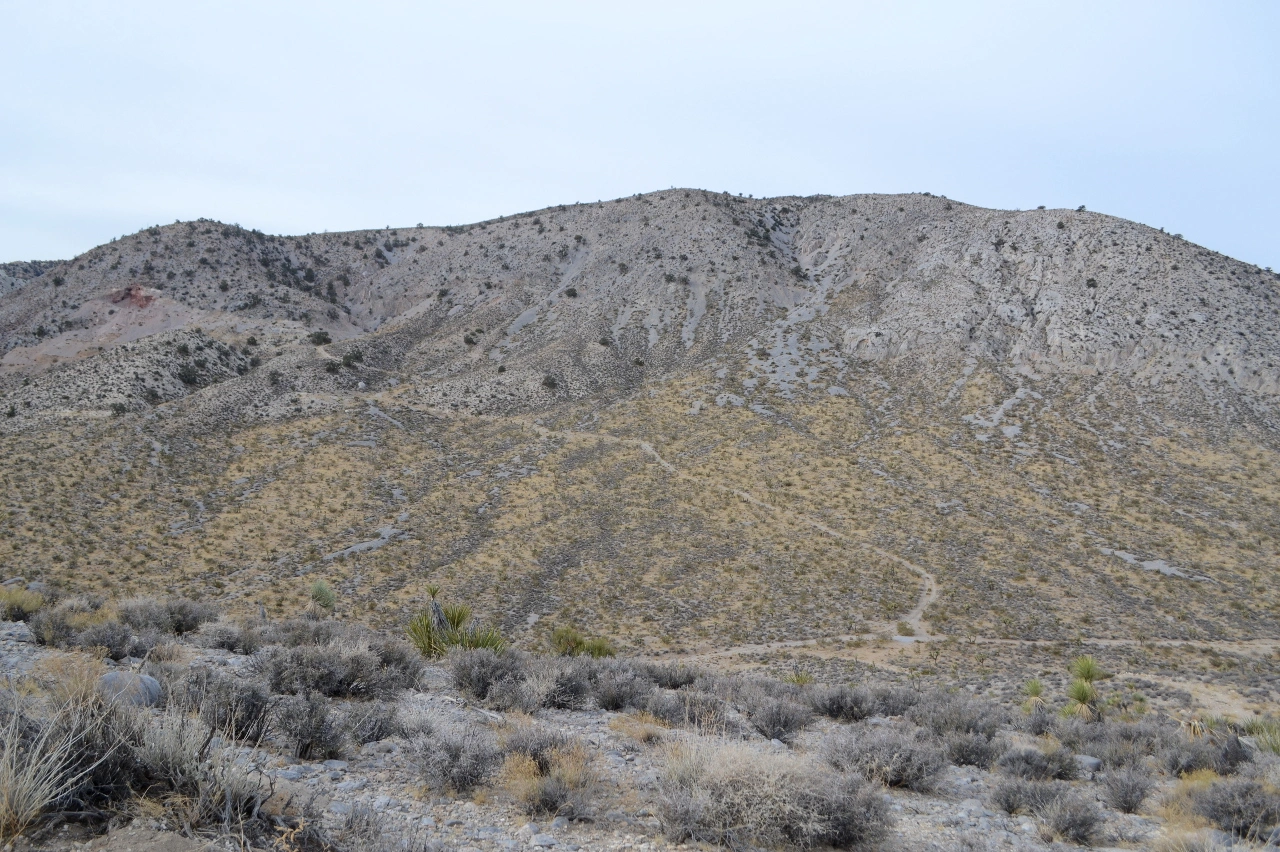 Silver Peak from Route 1