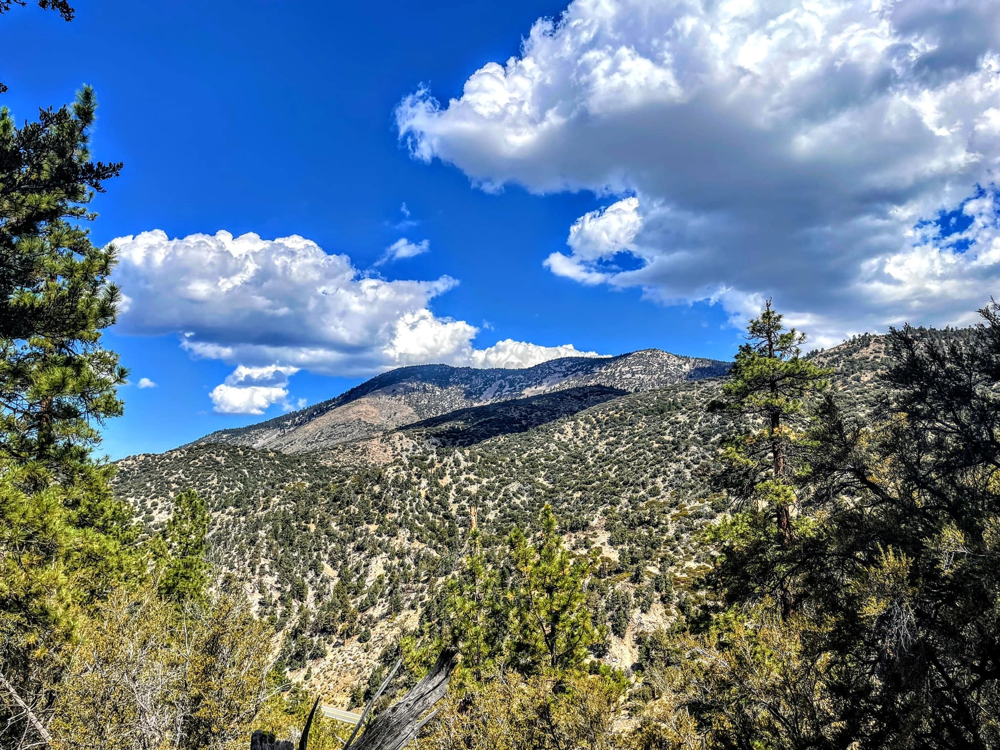 Sugarloaf Mountain, taken from Heart Bar