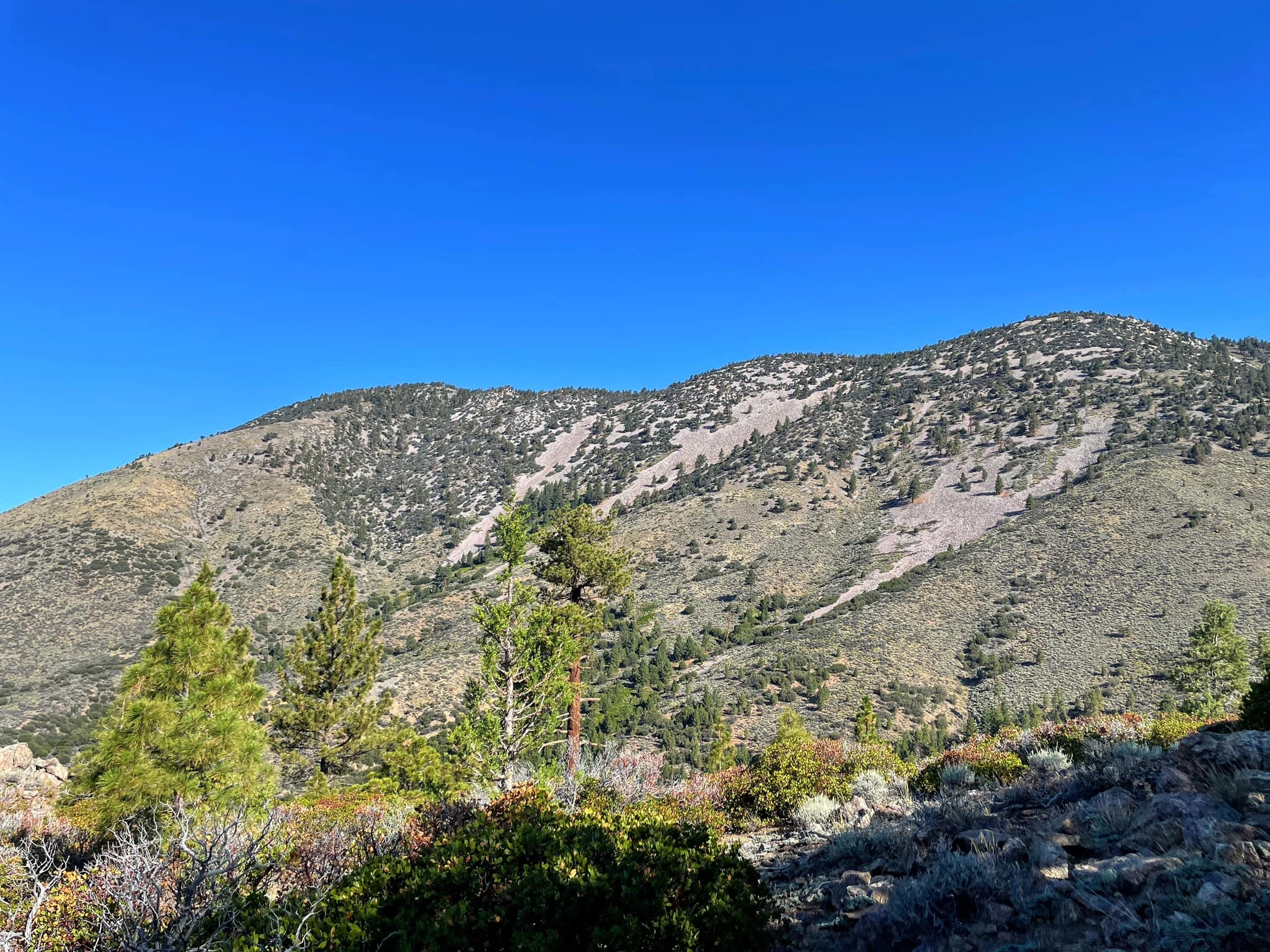 Sugarloaf Mountain, taken from Wildhorse Rt #5