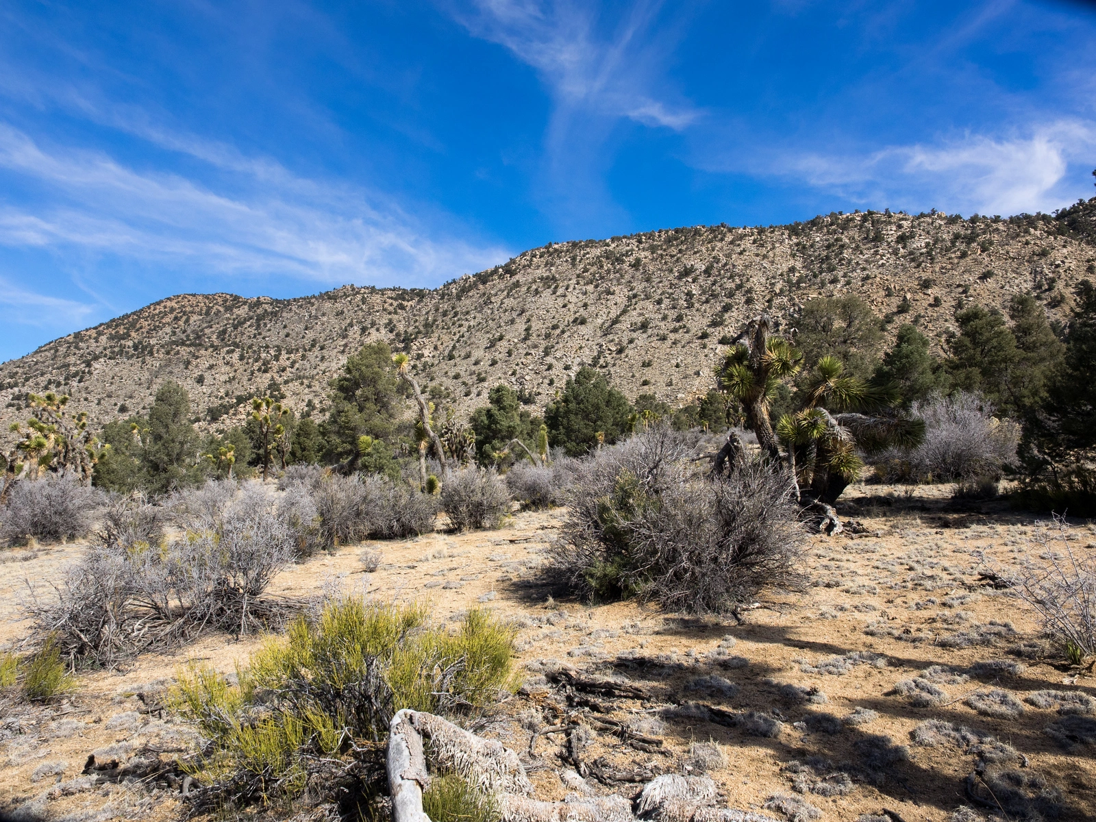 Granite Peaks