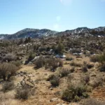 Meeks Mountain