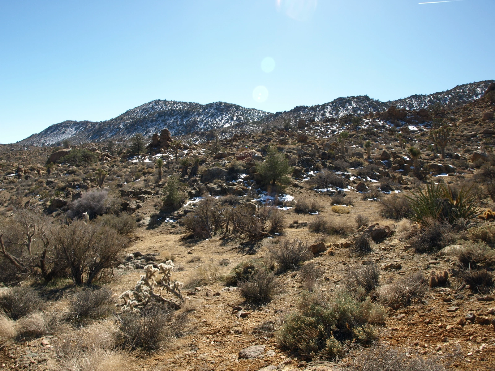 Meeks Mountain
