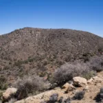 Black Mountain #4