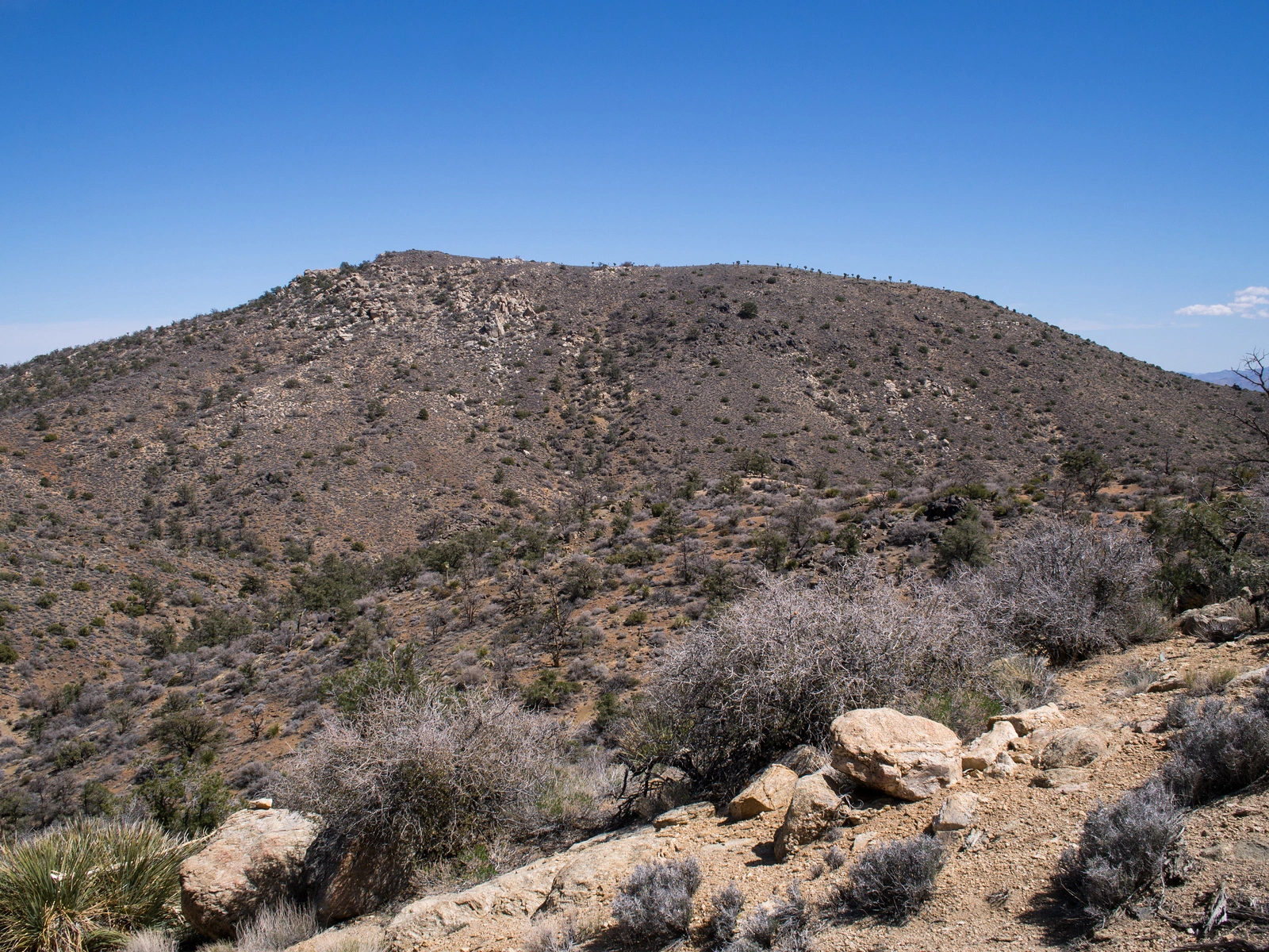 Black Mountain #4