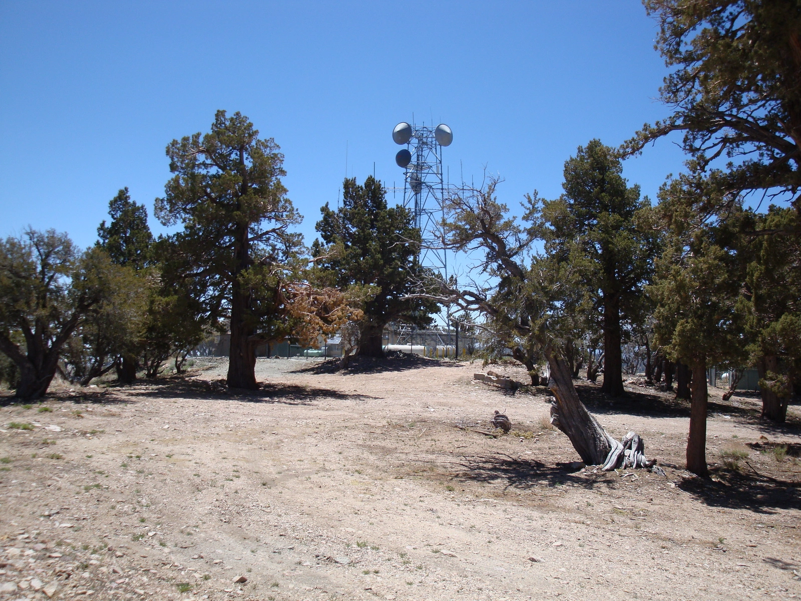Towers on Onyx Peak #1