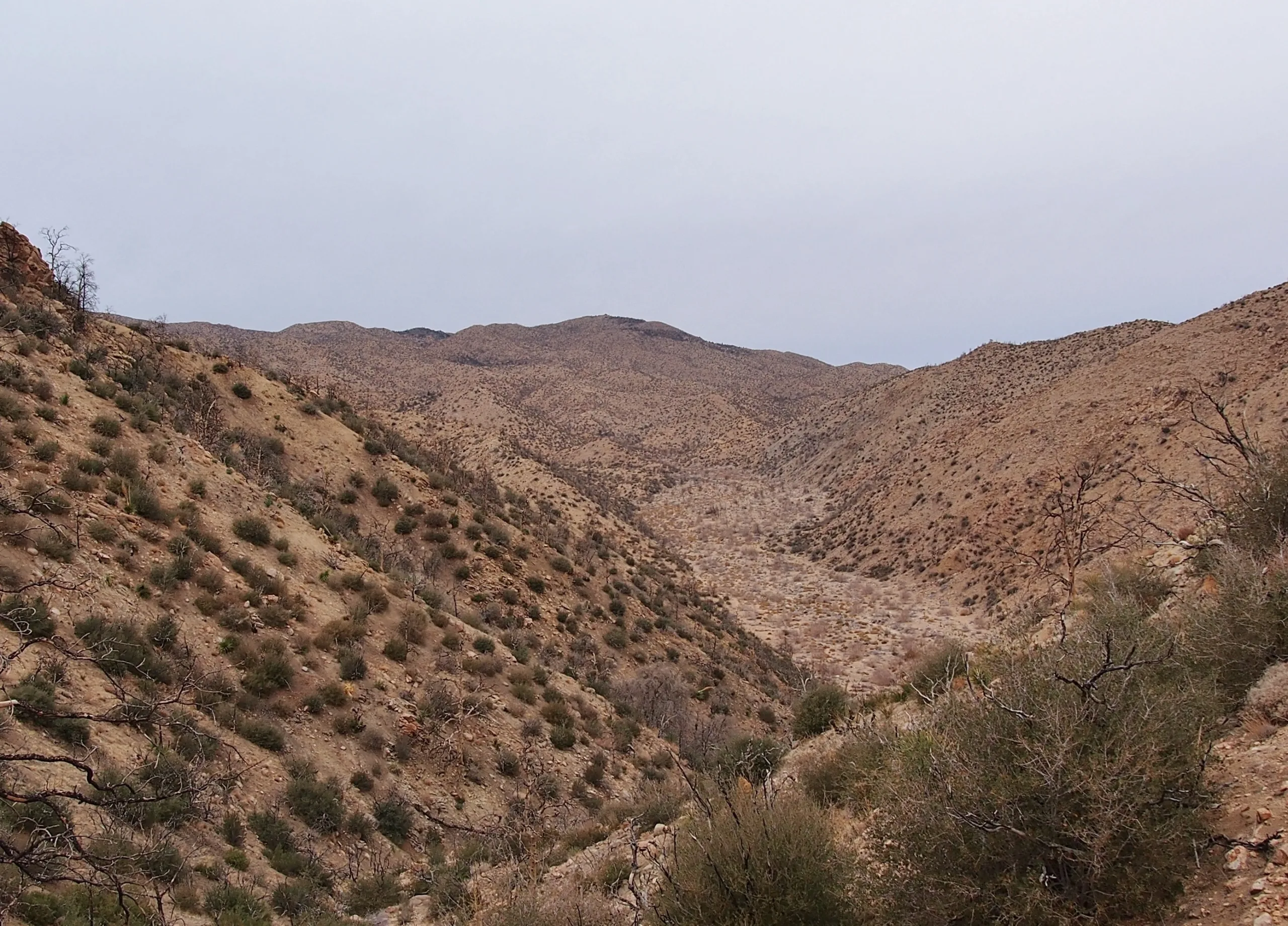 Chaparrosa Peak, taken from Pipes Canyon