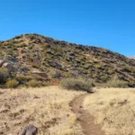 Chaparrosa