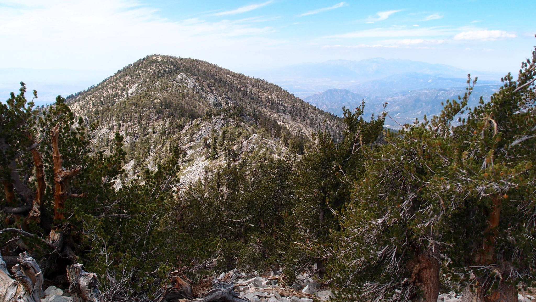San Bernardino Peak