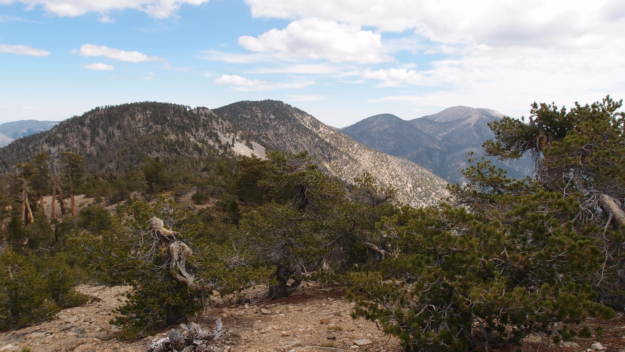 San Bernardino East Peak, taken from San Bernardino Peak