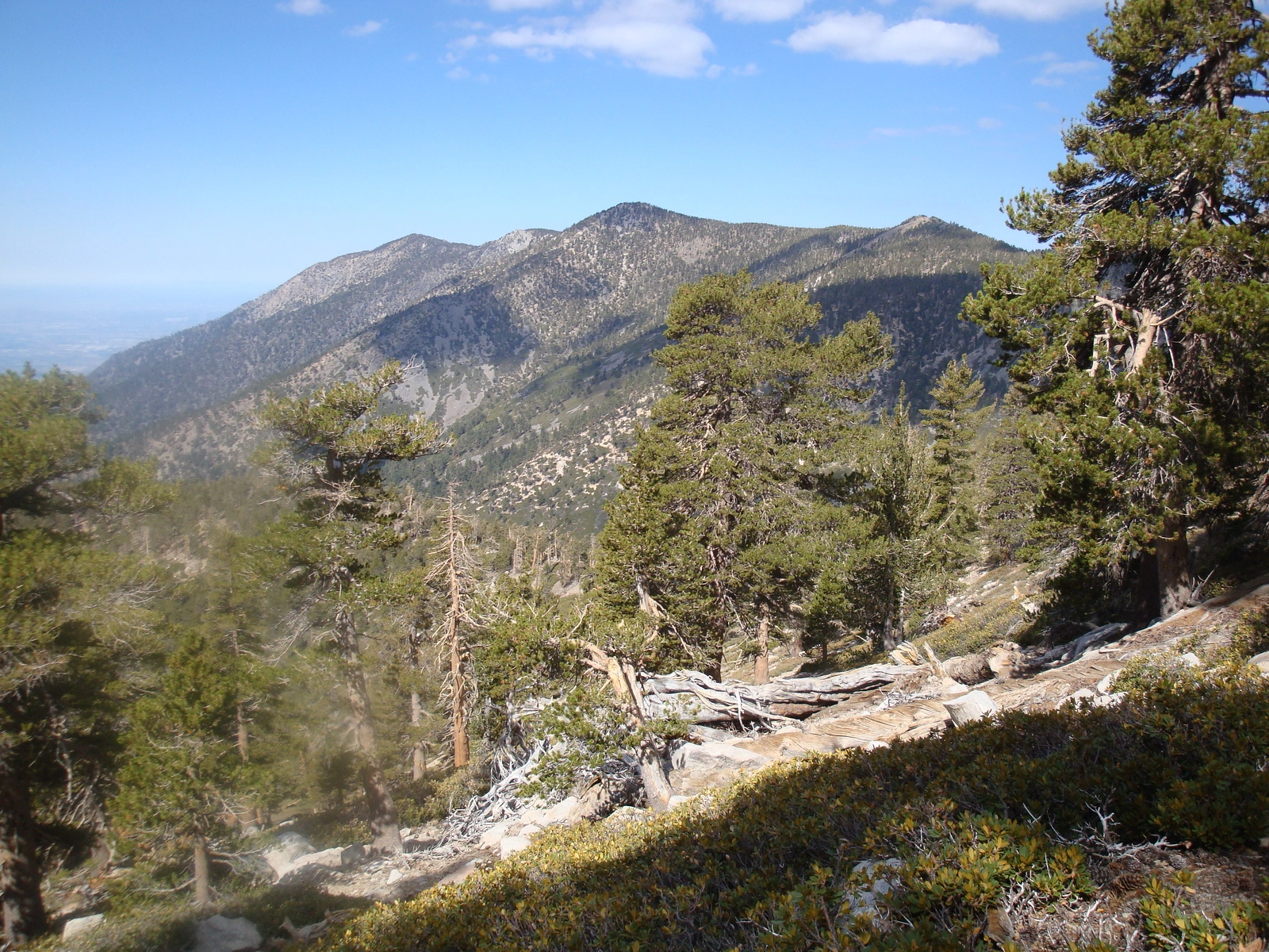 San Bernardino, San Bernardino East, Anderson, and Shields from Dollar Lake Saddle