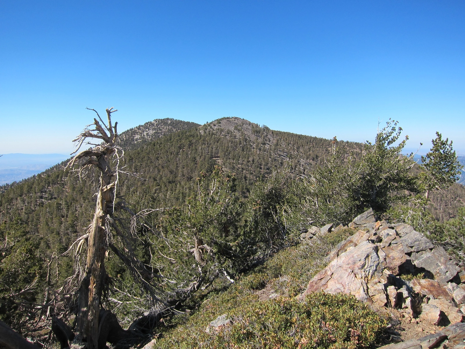 Shields And Erson Behind, taken from Alto Diablo