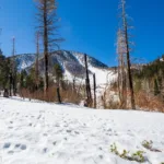 Charlton, taken from South Fork