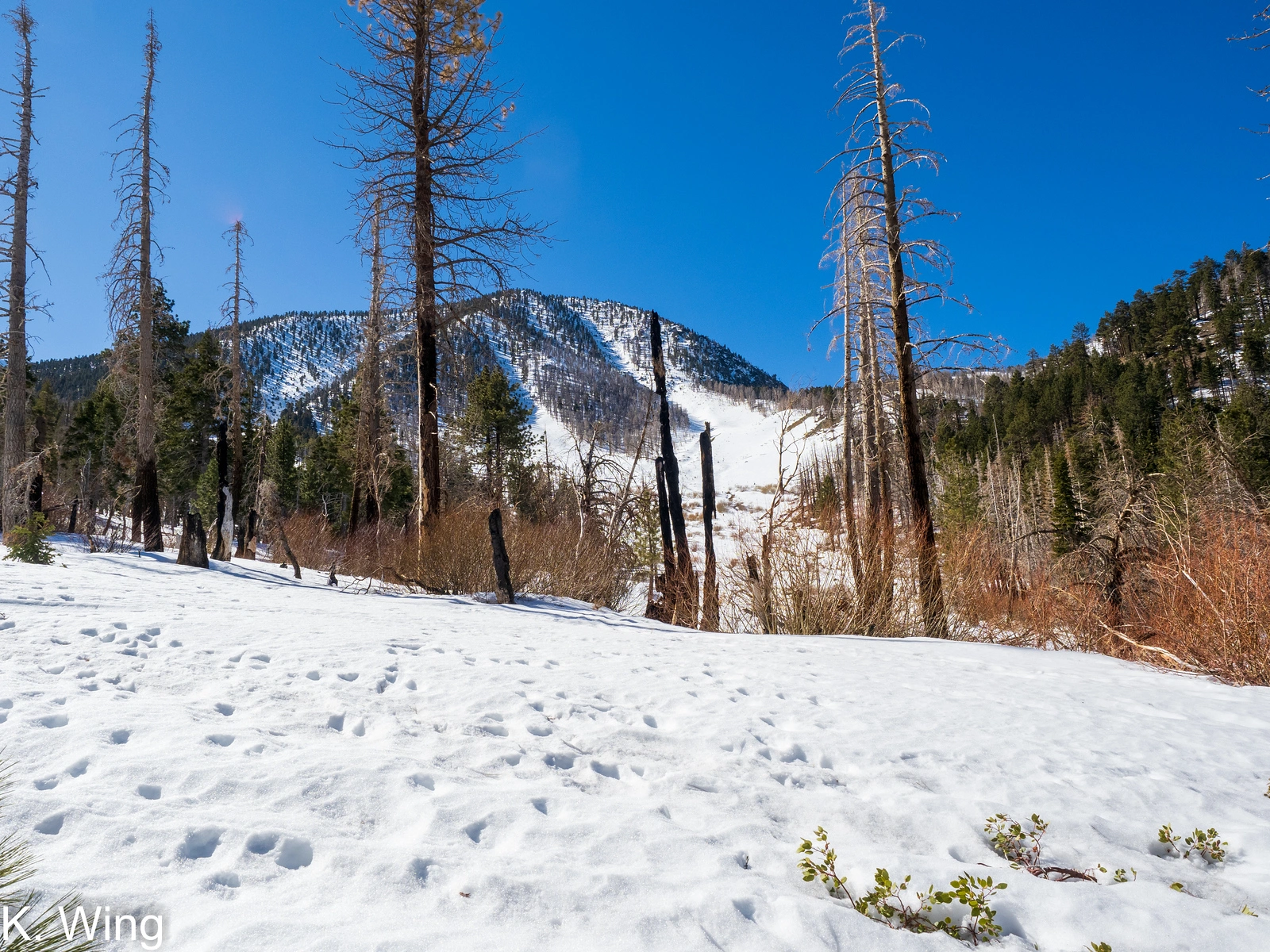 Charlton, taken from South Fork